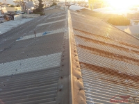 Κατασκευή στέγης με πάνελ οροφής στο Πέραμα_6